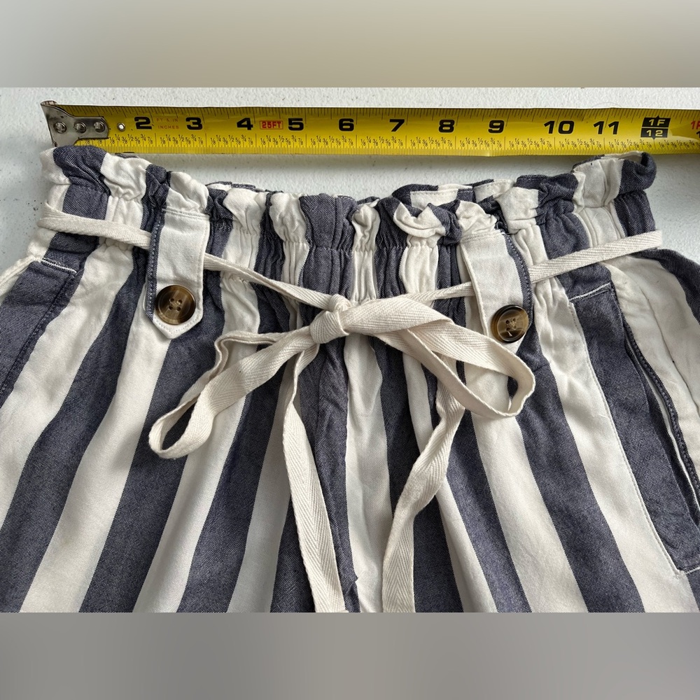 American Eagle Blue/White Vertical Striped Shorts, Size S - Picture 2 of 11